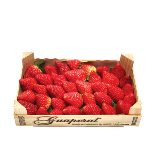 Erdbeeren Premium