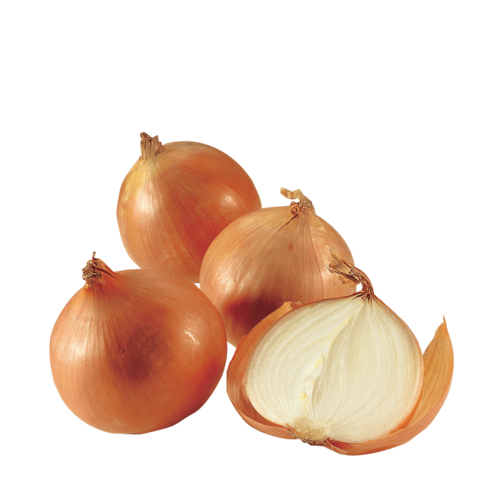 Metzgerzwiebeln Kaliber 70+