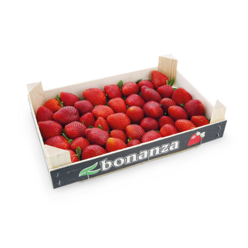 Erdbeeren Premium