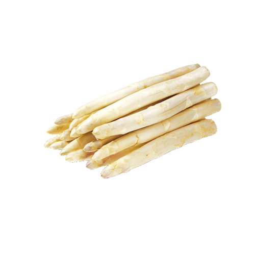 Spargeln weiss
