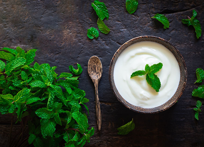 Koriander-Minze-Joghurt