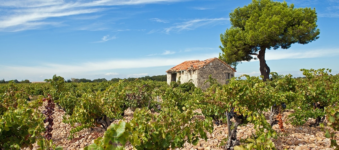Provence