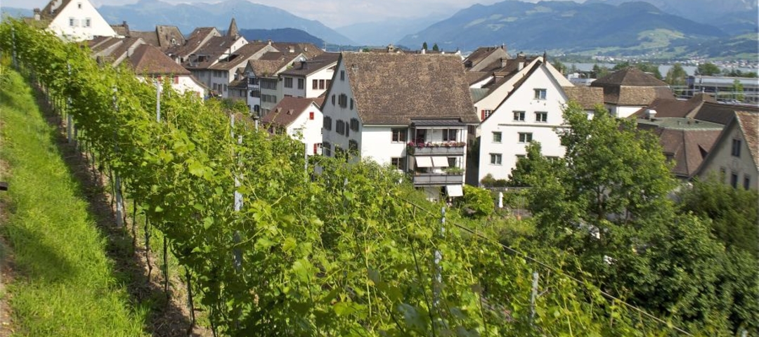St. Galler Rheintal