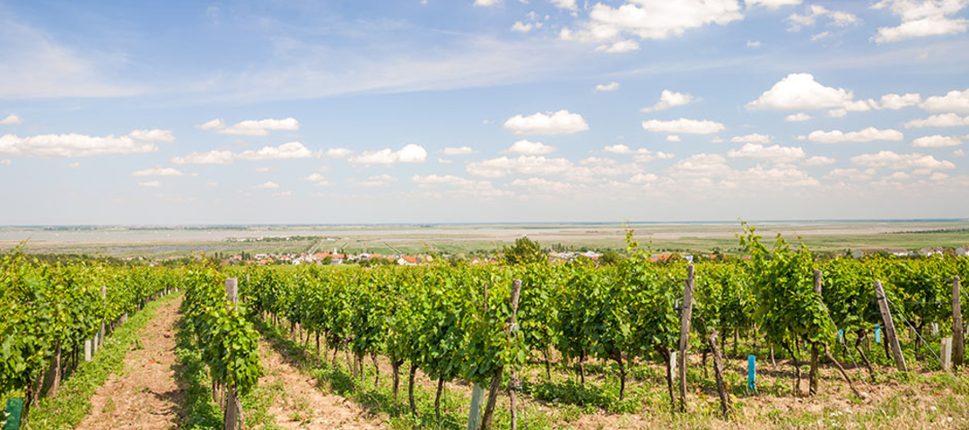 Burgenland