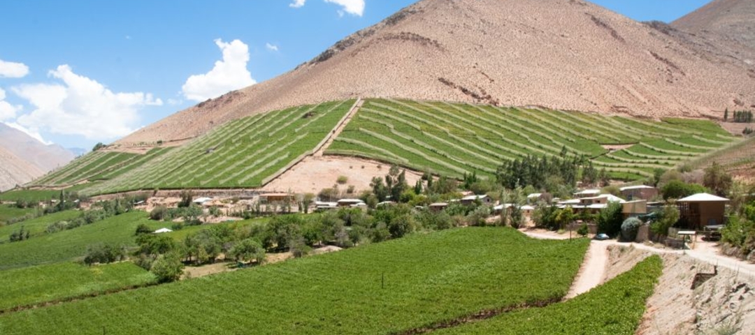 Colchagua