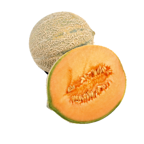 Netzmelonen