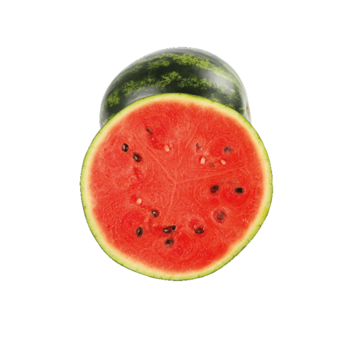 Wassermelonen Mini