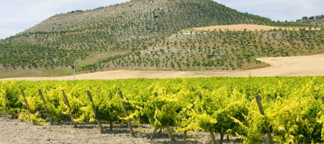 La Mancha