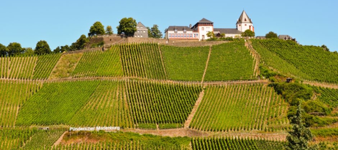 Thurgau