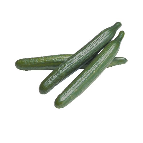 Salatgurken