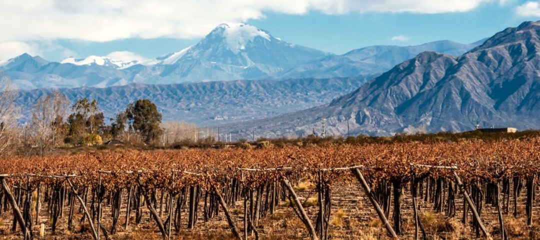 Mendoza