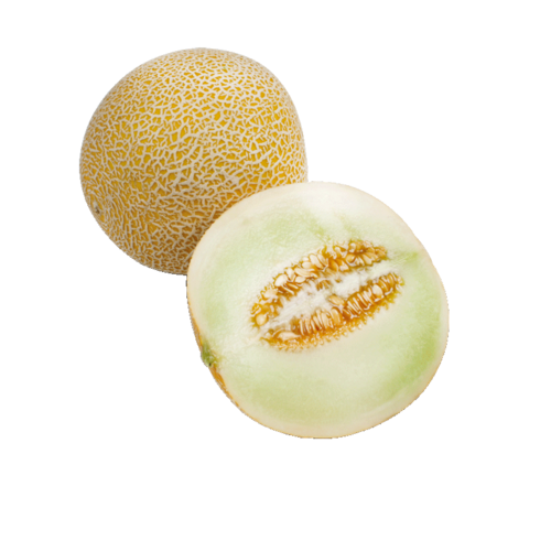 Melonen Galia