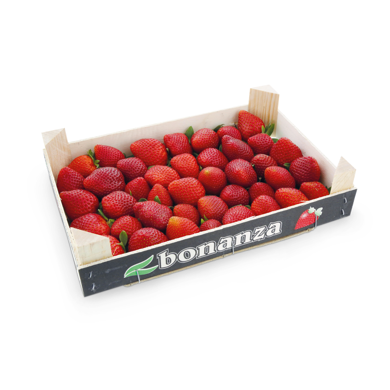 Erdbeeren Premium