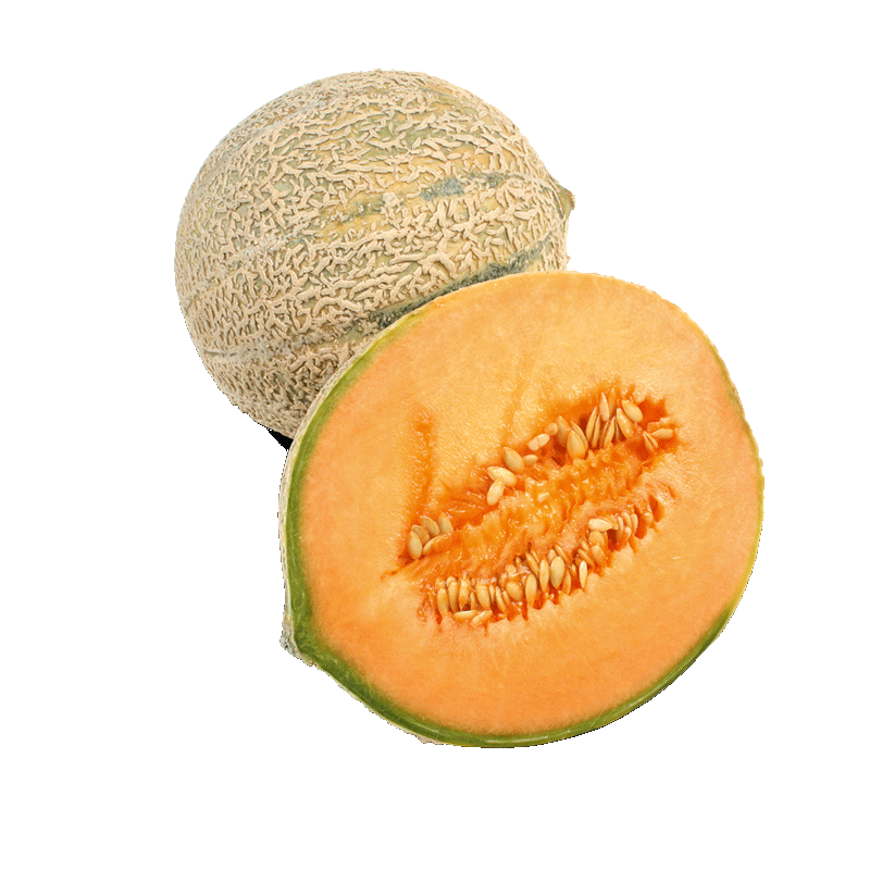 Netzmelonen