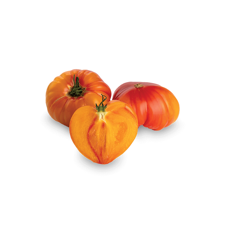 Feuertomaten