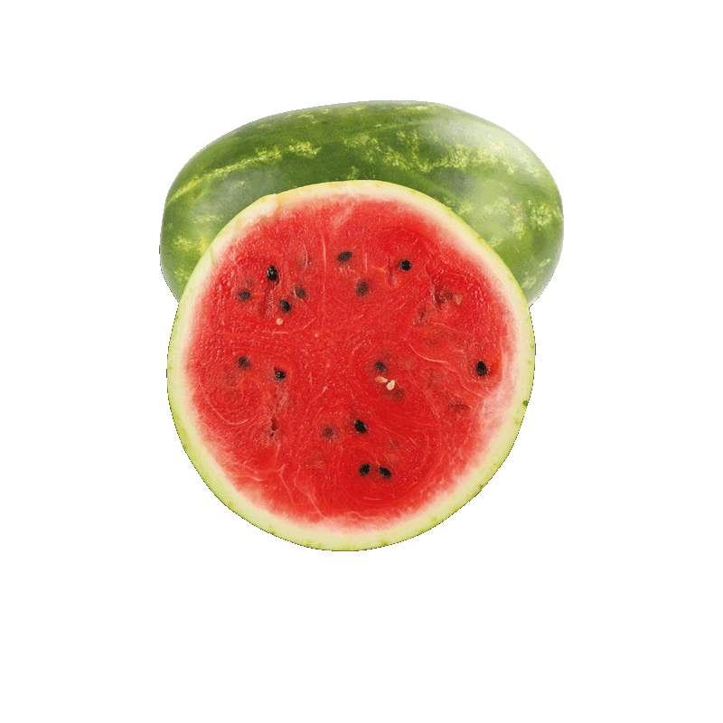 Wassermelonen Dumara