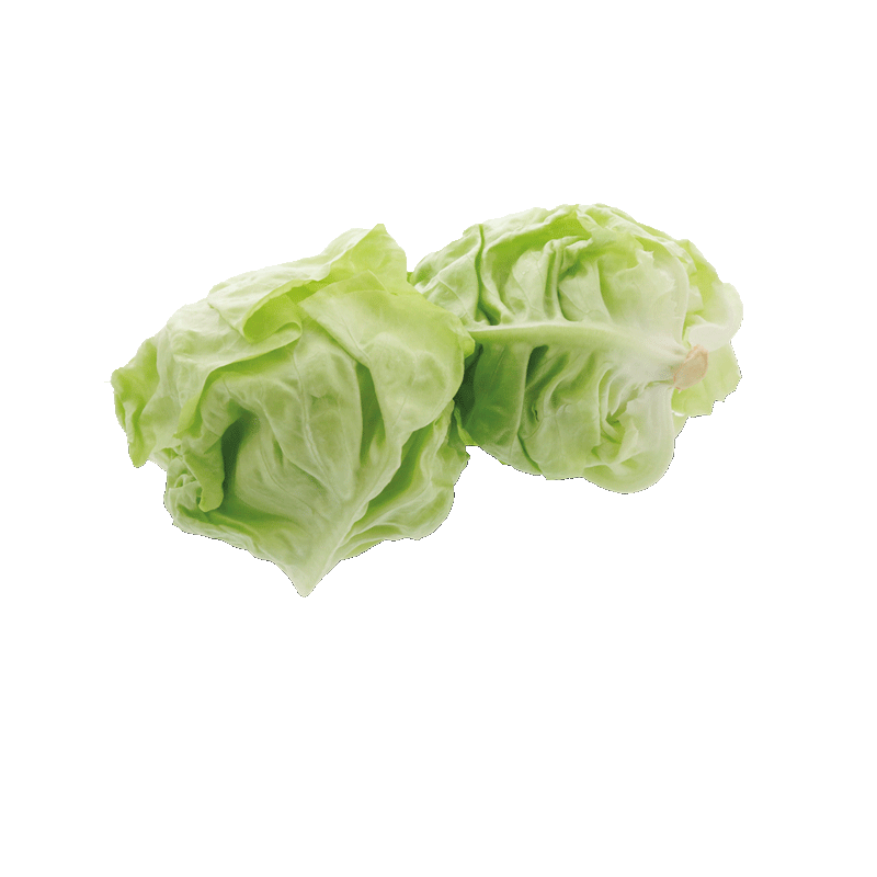 Kopfsalat Herzen