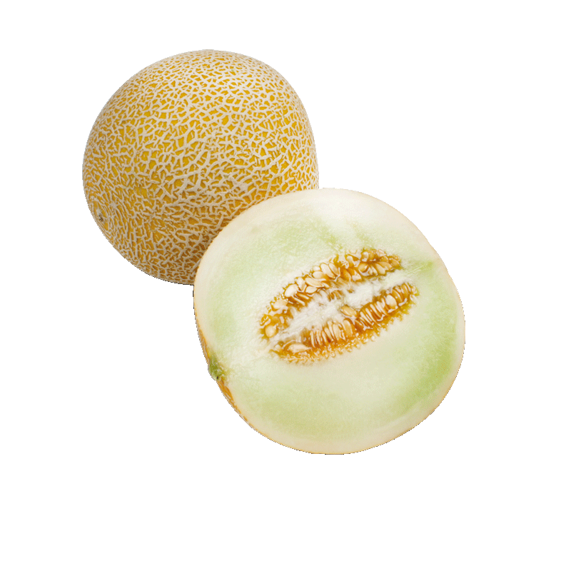 Melonen Galia