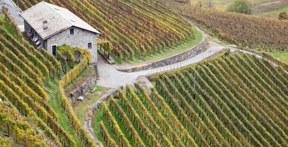 Valtellina